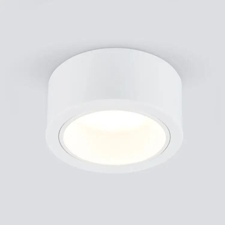 Накладной светильник Elektrostandard 1070 a035973