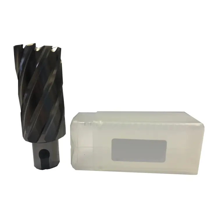 Кольцевая фреза Rotorica RT.4215030