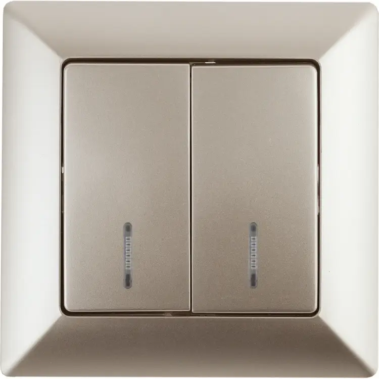 Двухклавишный выключатель Intro Solo 4-105-04 Б0053596