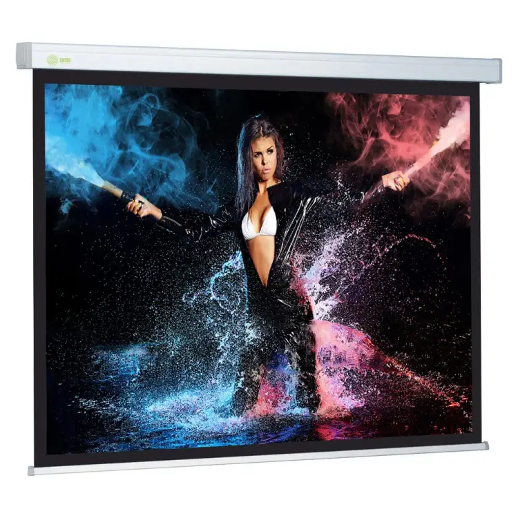 Настенно-потолочный рулонный экран Cactus Wallscreen 1:01 359030