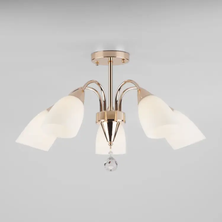 Потолочный светильник Eurosvet 30149 5 a043903