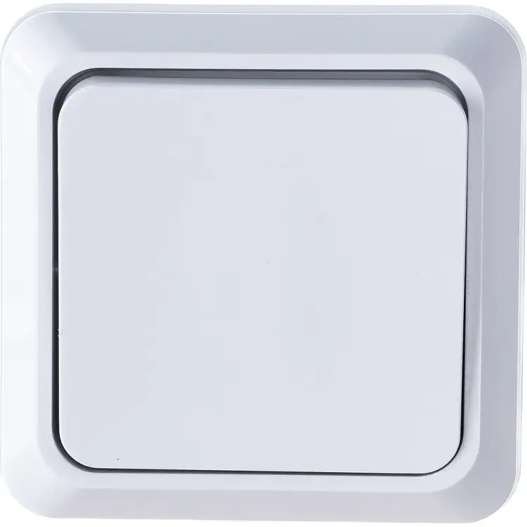 Одноклавишный выключатель Intro Quadro 2-101-01 Б0053733