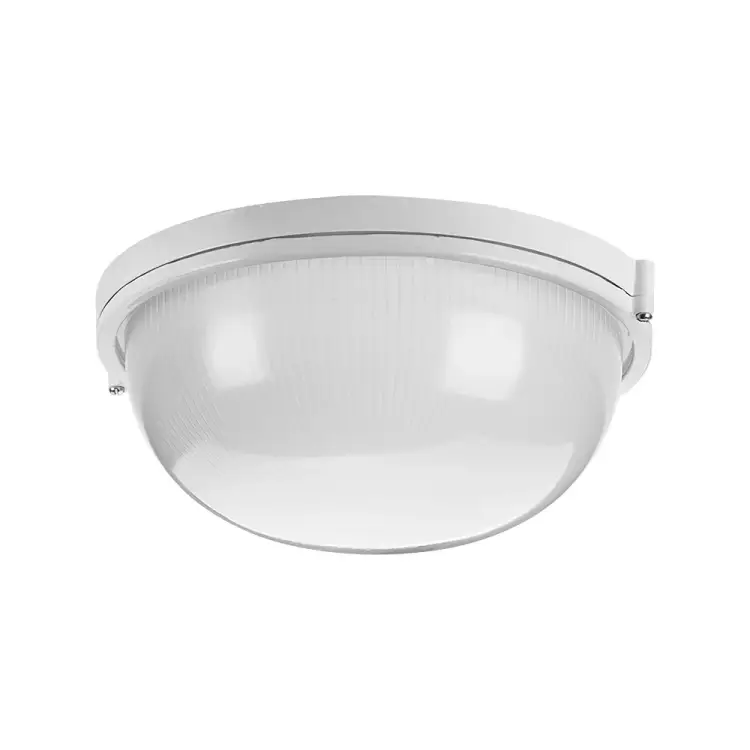 Светильник Wolta ДПБ03-100-001