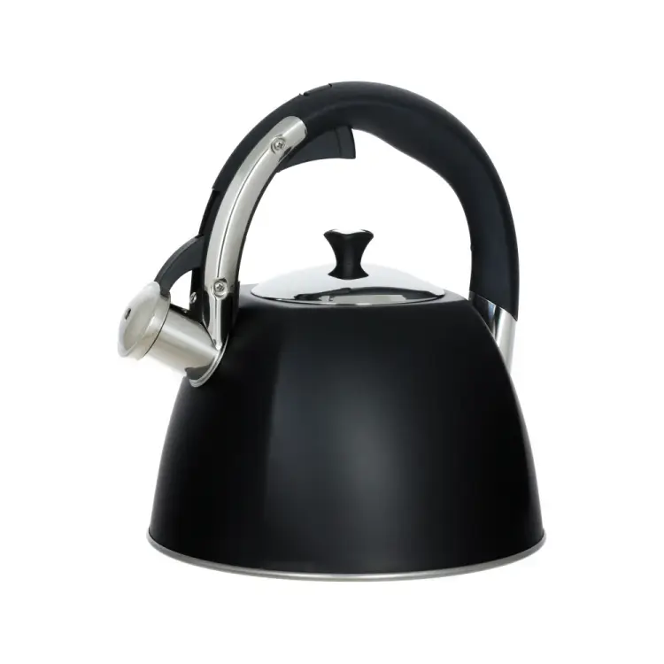 Чайник Regent inox Linea TEA 93-TEA-31