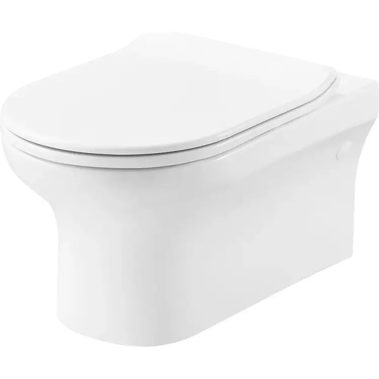 Подвесной безободковый унитаз Creo Ceramique ARCHI AR1100R+RE1001T/AR1001T