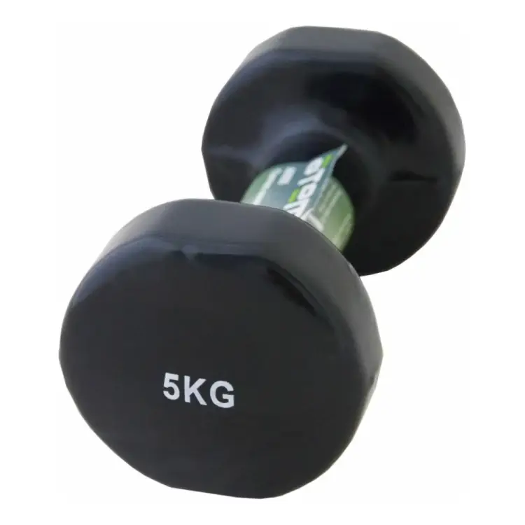 Виниловая гантель ATEMI AD055 00-00004860