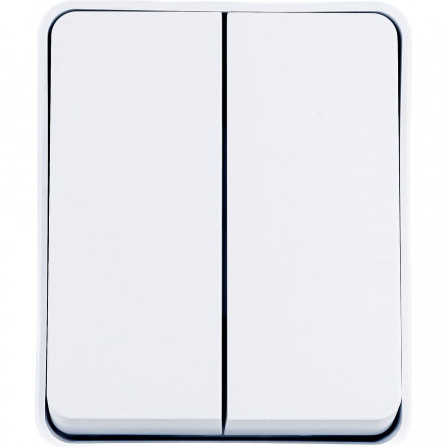 Двухклавишный выключатель Schneider Electric AtlasDesign PROFI
