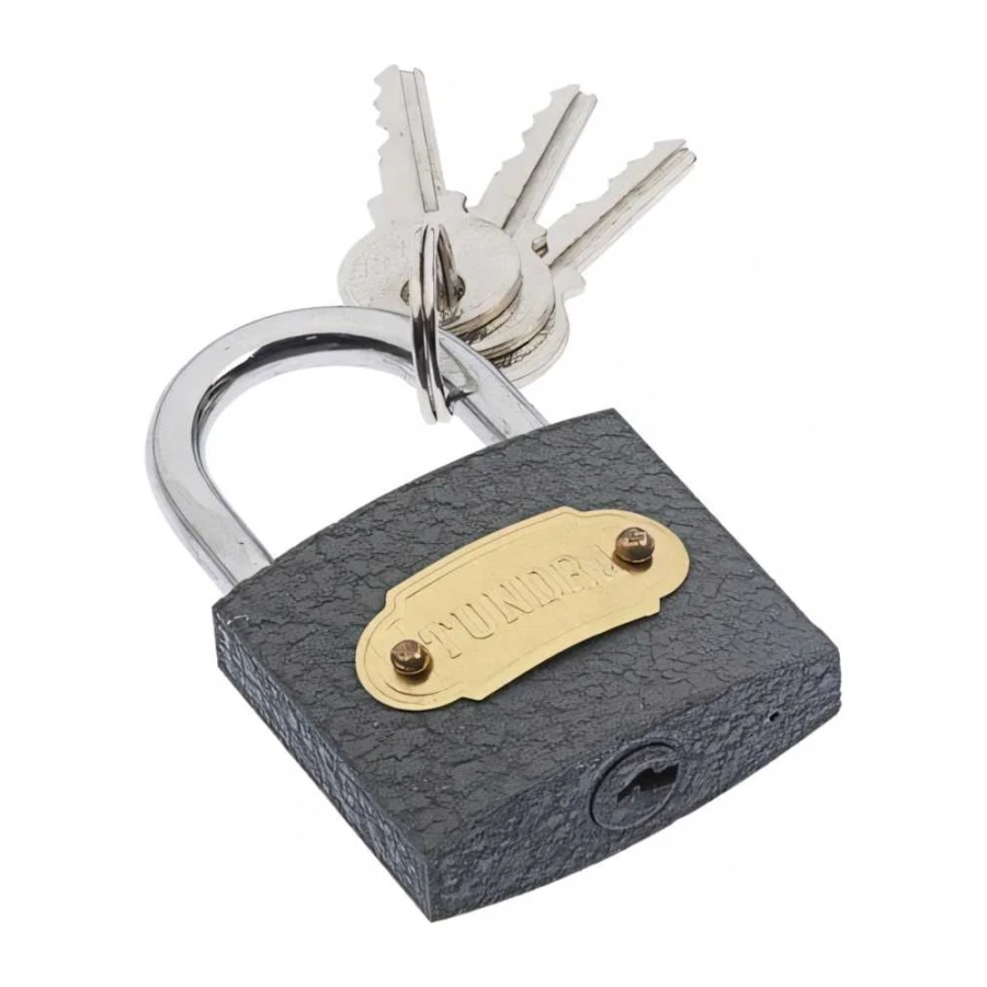 Навесной замок ТУНДРА ZN1038 4594964