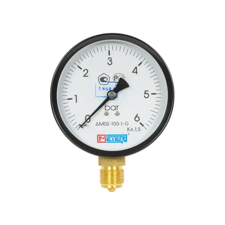 Манометр МЕТЕР ДМ 02-100-1-G 704