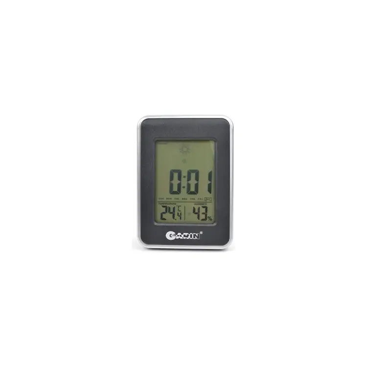 Метеостанция Garin WS-1 12569