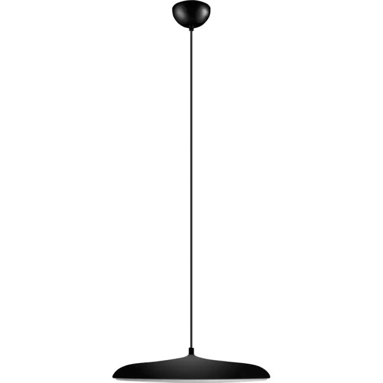 Подвесной светильник LOFT IT Plato 10119 Black