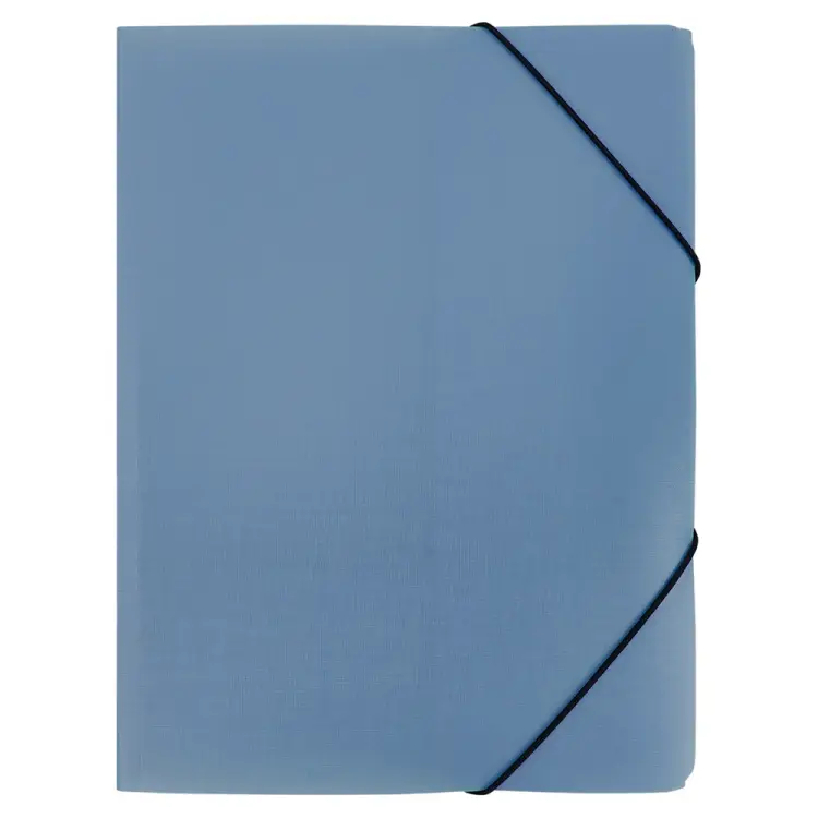 Папка Expert Complete A4, 600 мкм, 35 мм, Trend ICEberries, голубика EC210420071 709210