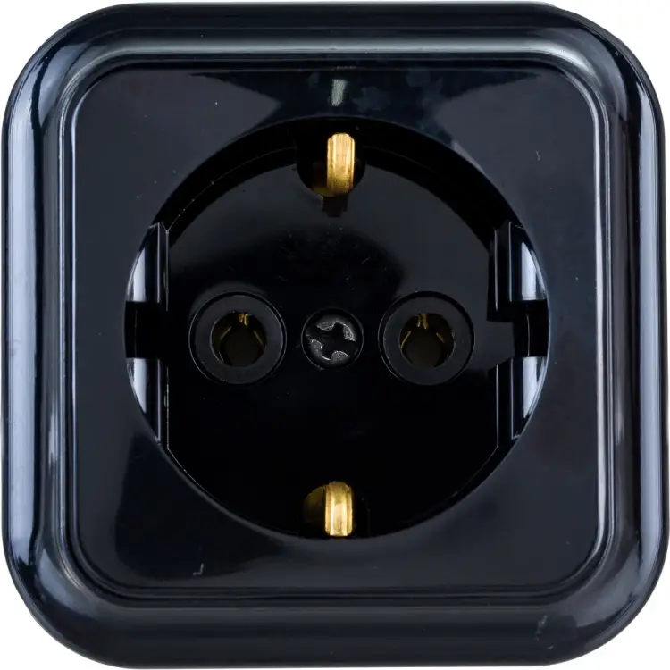 Одноместная розетка BYLECTRICA ПРАЛЕСКА РА16-254 черный