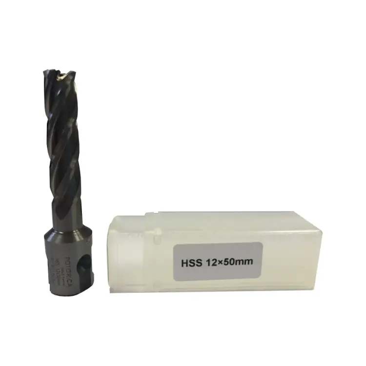 Кольцевая фреза Rotorica RT.4215012