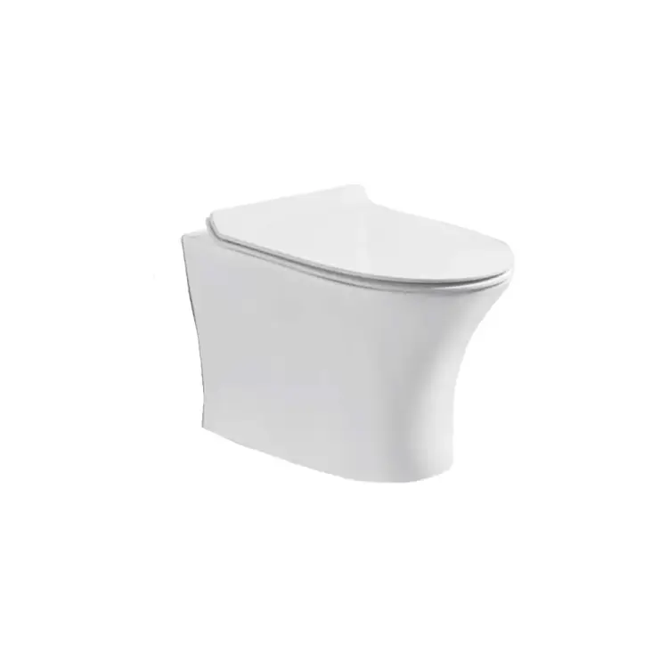 Подвесной безободковый унитаз Cerutti SPA BERNINA Aria 7191