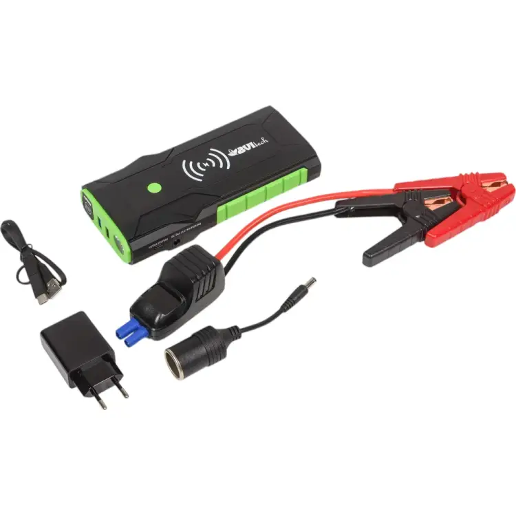 Пусковое устройство заряда, питания и освещения BVItech BS-09QDS/QDSP/12 Пусковое устройство заряда, питания и освещения BVItech BS-09QDS/QDSP/12