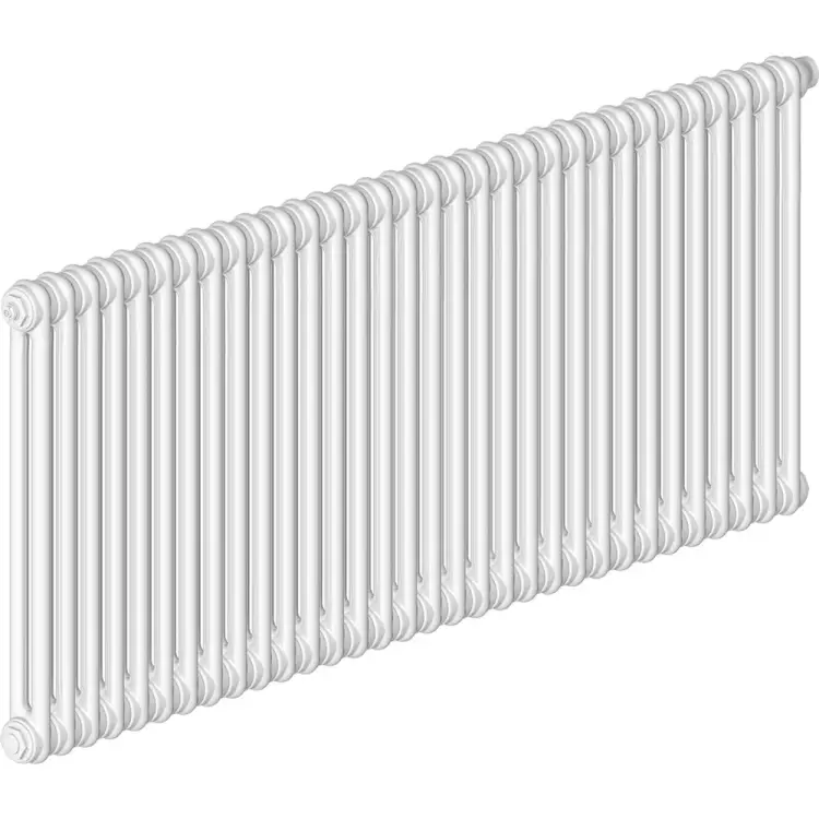 Стальной трубчатый радиатор IRSAP RT TESI/2 565 EL32 CL.01 T25 RT205653201A425N01