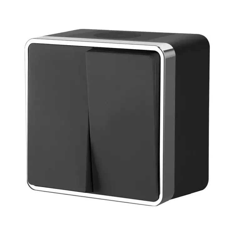 Влагозащищенный двухклавишный выключатель WERKEL W5020235  a050976