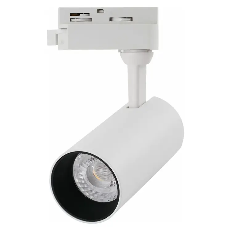 Трековый светильник ARTE LAMP REGULUS A4568PL-1WH