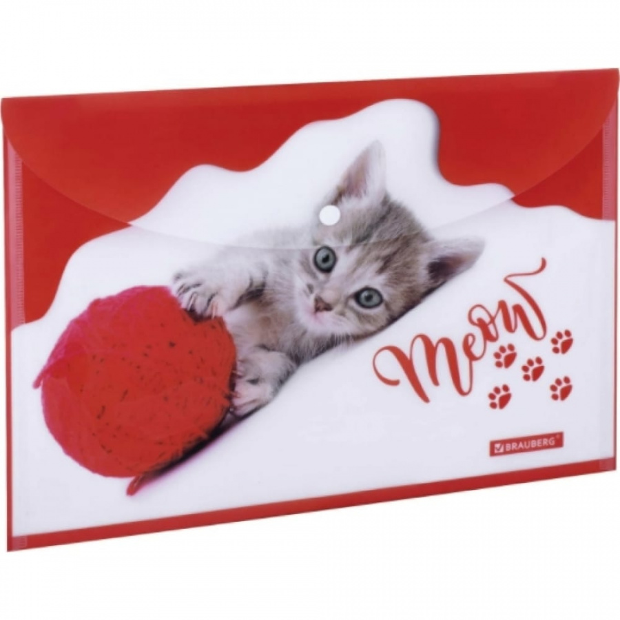 Папка-конверт BRAUBERG FUNNY CAT
