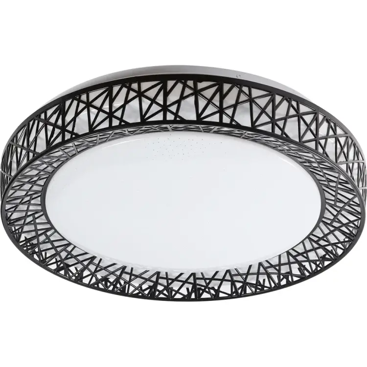 Светодиодный управляемый светильник Smartbuy SBL-DIM12-100W