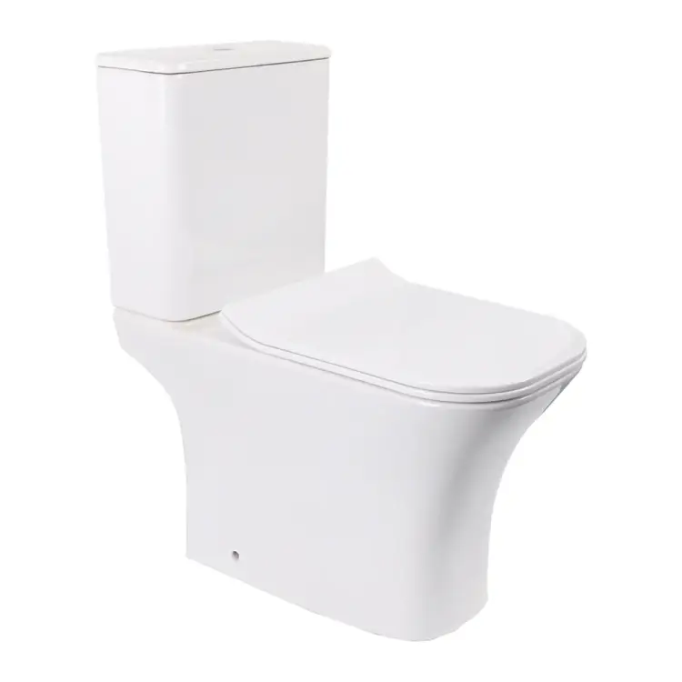 Безободковый напольный унитаз-компакт Cerutti SPA VETTORE 7192 Безободковый напольный унитаз-компакт Cerutti SPA VETTORE 7192