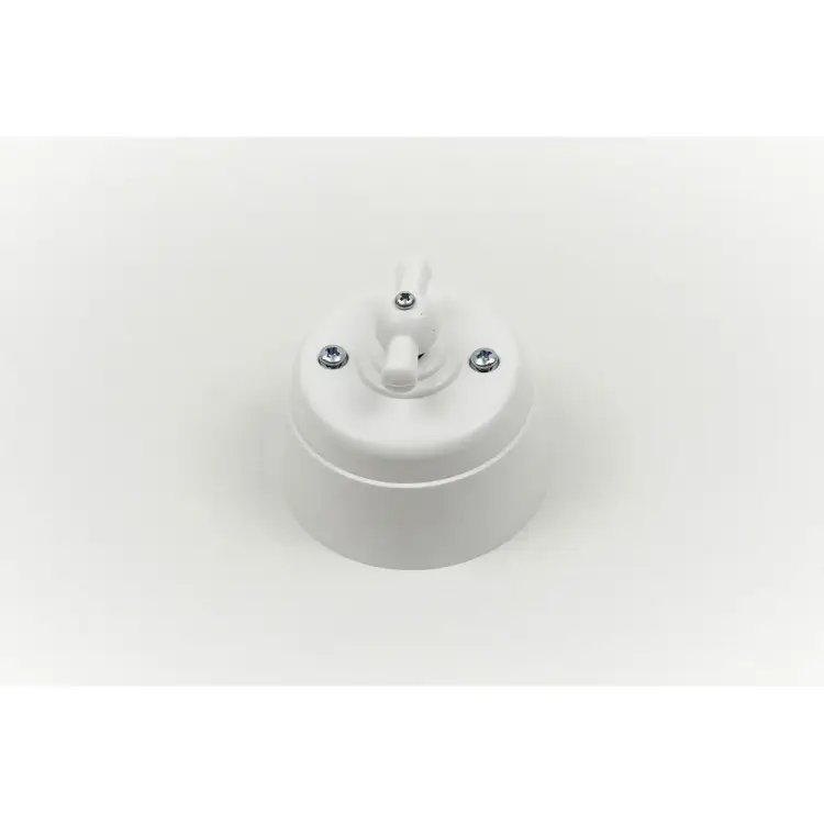 Поворотный выключатель Interior Electric серии "вектор" ВПП01