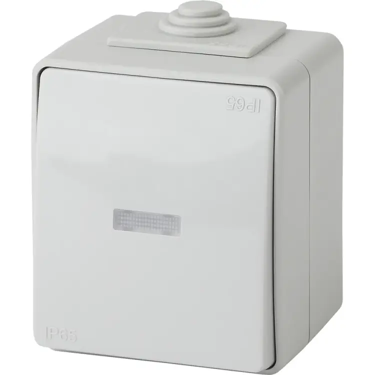 Выключатель ЭРА Эксперт 11160203 Б0035974