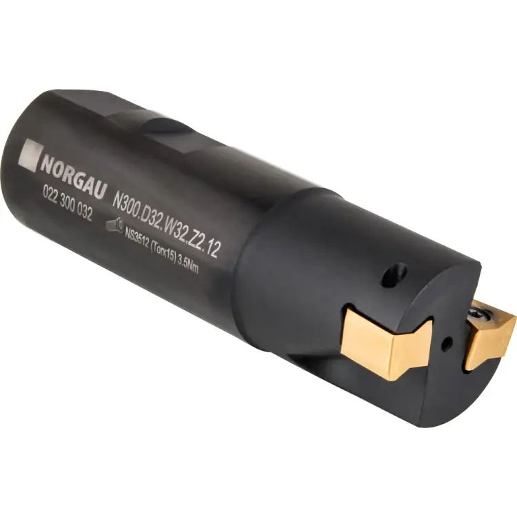 Корпус фрезы NORGAU N300.D32/Z2 022300032 Корпус фрезы NORGAU N300.D32/Z2 022300032