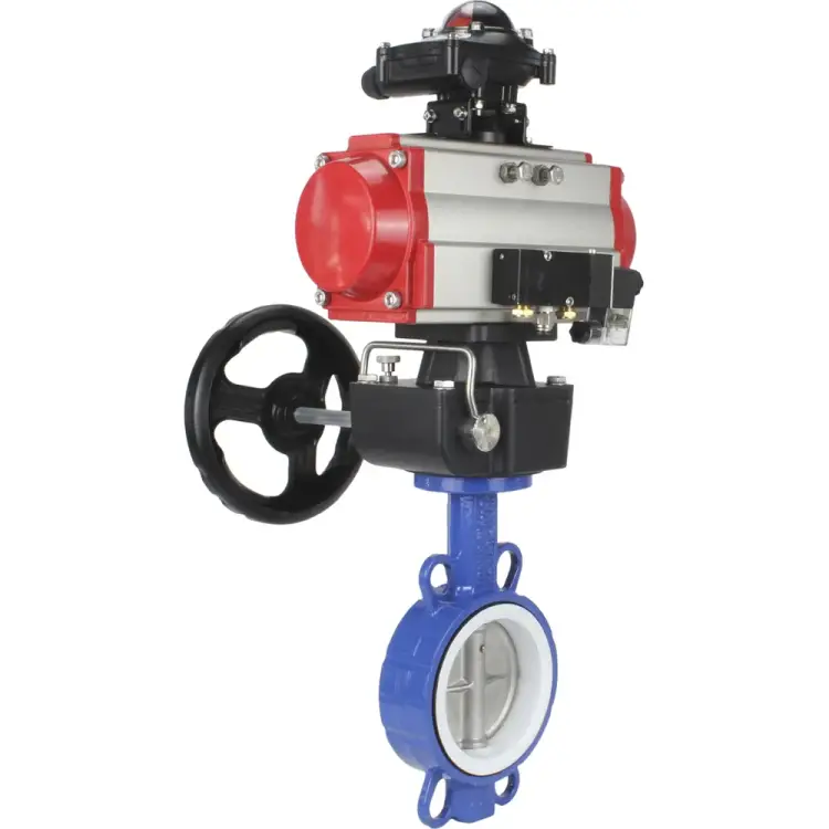 Затвор DN.ru WCB-316L-PTFE D050-00351