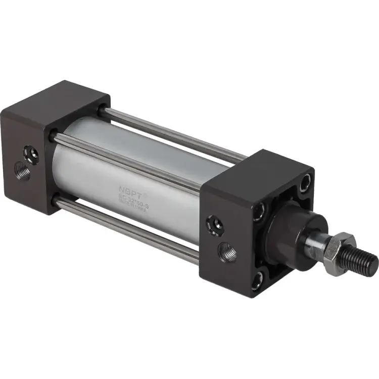 Пневмоцилиндр NBPT 81098