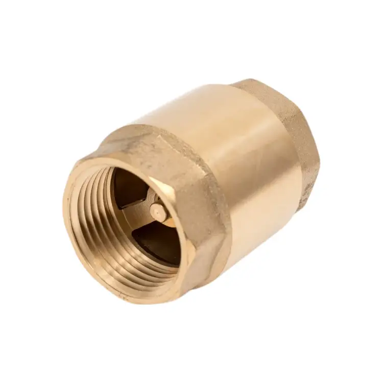 Обратный клапан RM CV1