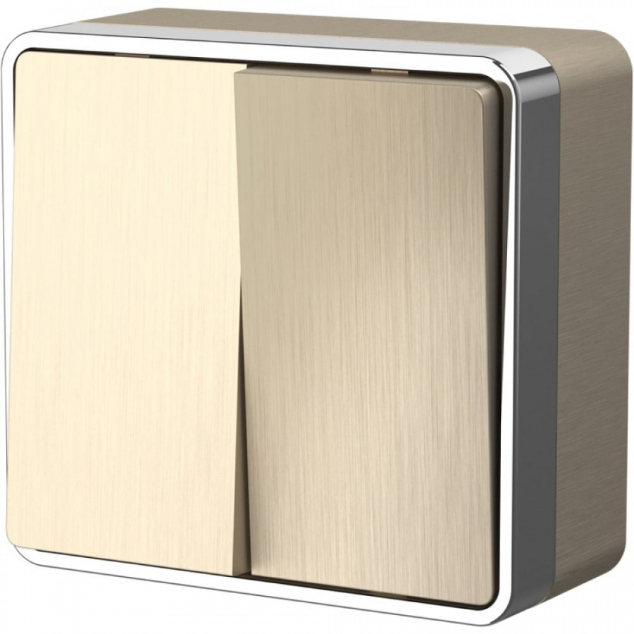 Двухклавишный выключатель WERKEL W5020010