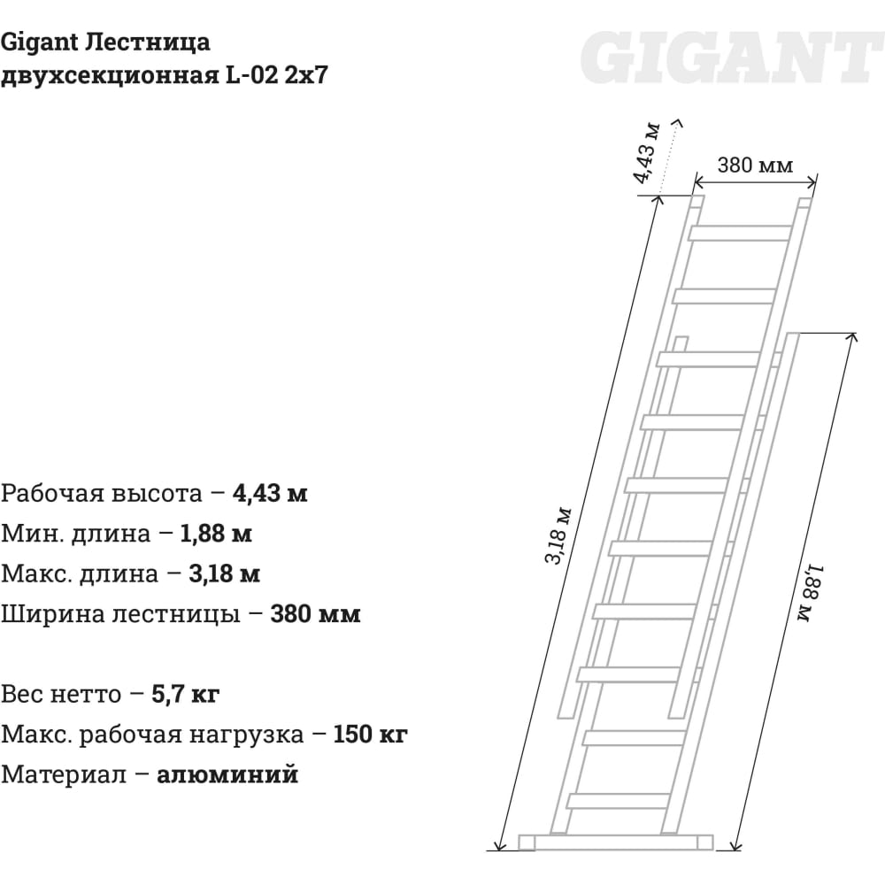 Двухсекционная лестница Gigant L-02