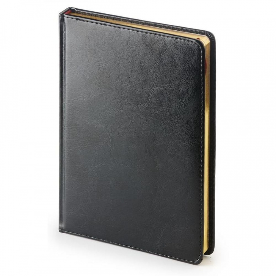 Недатированный ежедневник Attache Sidney Nebraska
