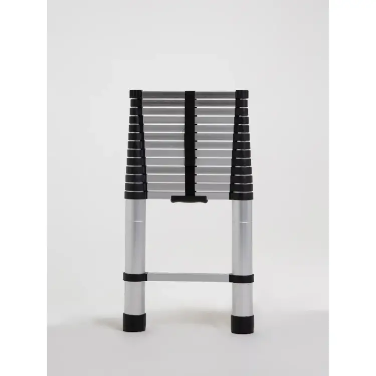 Телескопическая лестница WORKY ARD259175