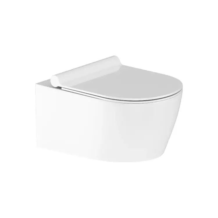 Подвесной унитаз Damixa Jupiter DX77C1700SC