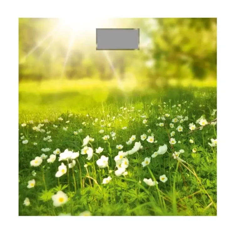 Весы Добрыня DO 3006G