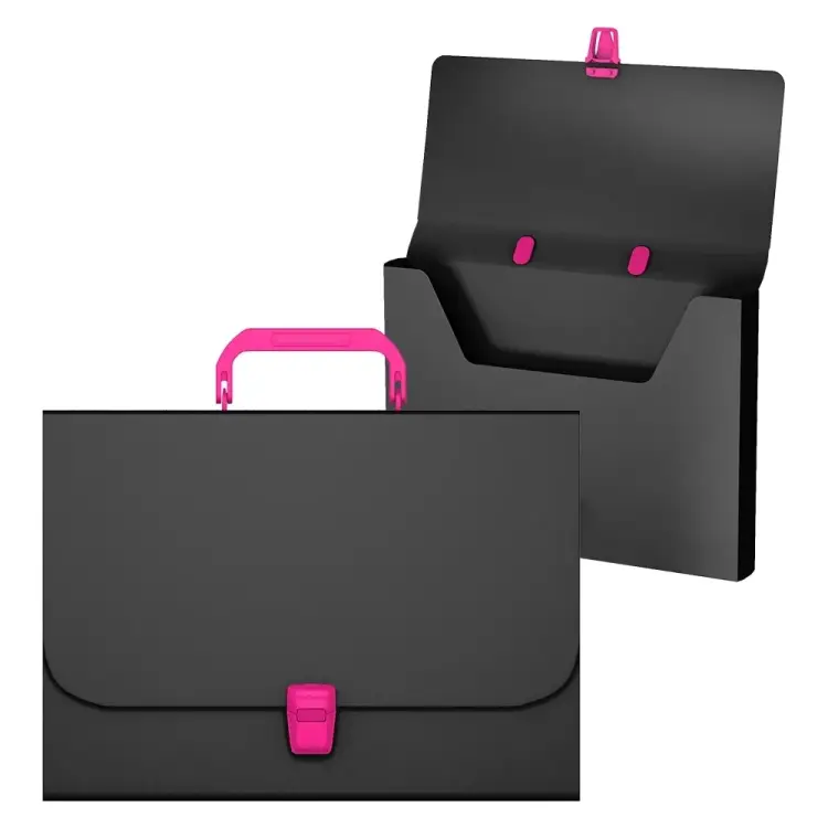 Пластиковый портфель ErichKrause Matt Accent 50439