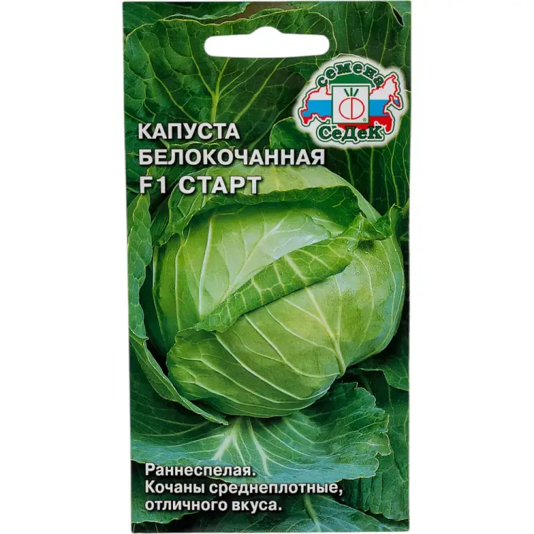 Семена СеДек I0000002355