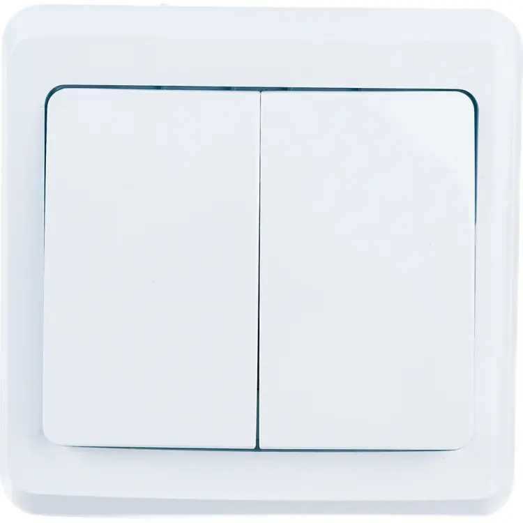 Двухклавишный выключатель IEK ВС10-2-0-ВБ ВЕГА EVV20-K01-10-DM