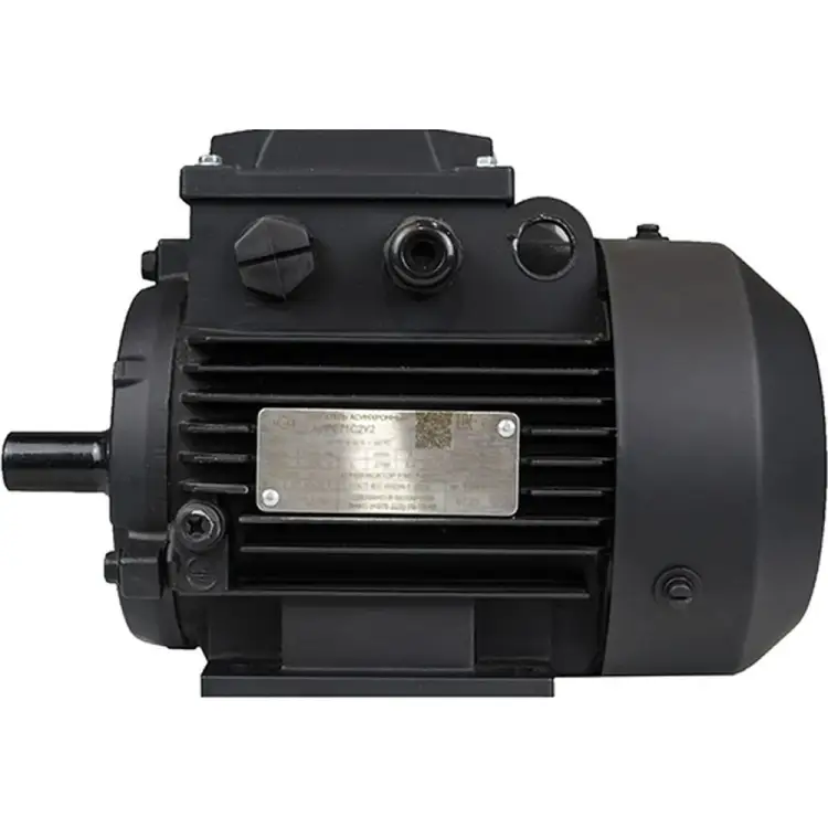 Электродвигатель МЭЗ АИРЕ56В2-У3-220-50IM1081К31Е 1081