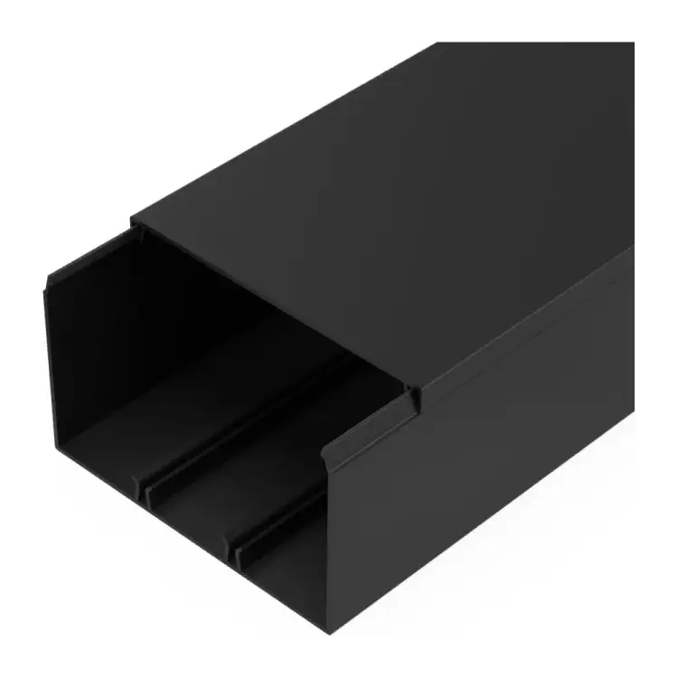 Кабель-канал Промрукав черный 2-й замок в п/э 100x60 2м PR03.0222