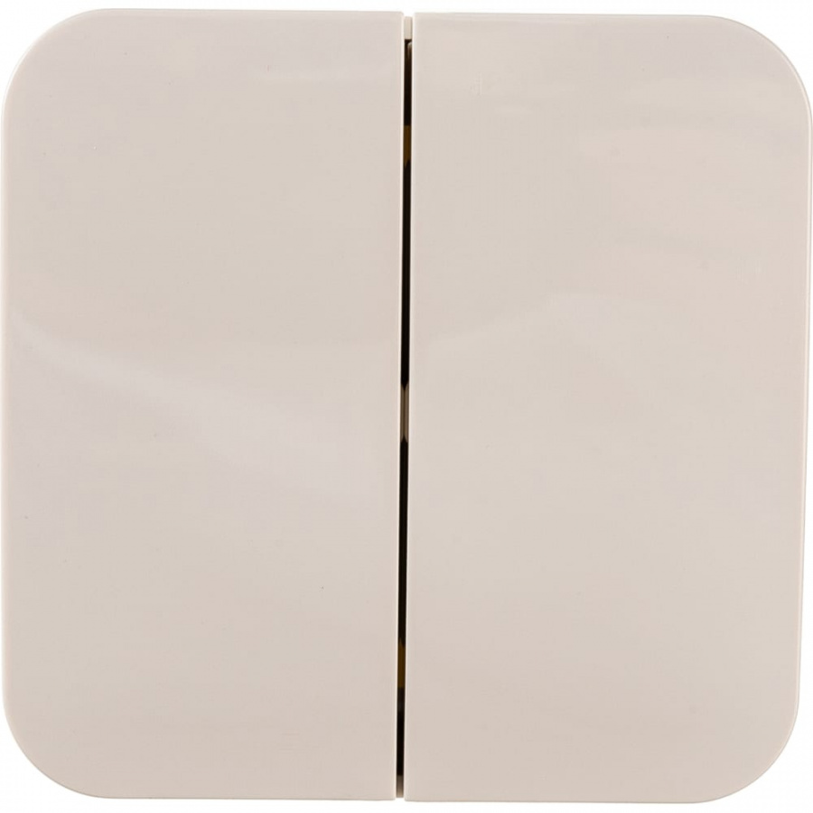 Двухклавишный выключатель Schneider Electric Blanca