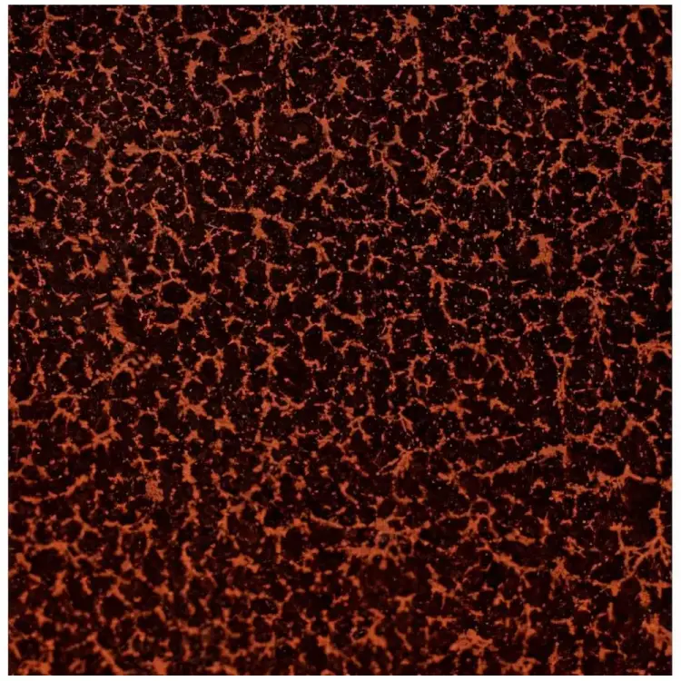 Стальной притопочный лист GRILLUX ВЗР2351-03