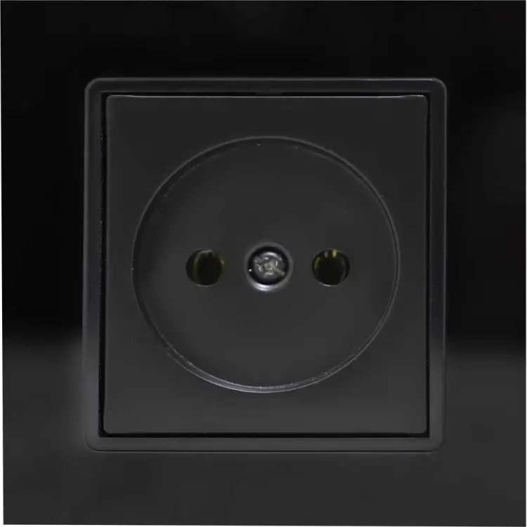 Розетка Vesta Electric Exclusive Black FRZMT040006CHR