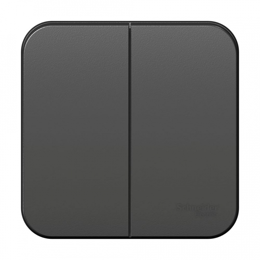 Двухклавишный выключатель Schneider Electric BLANCA
