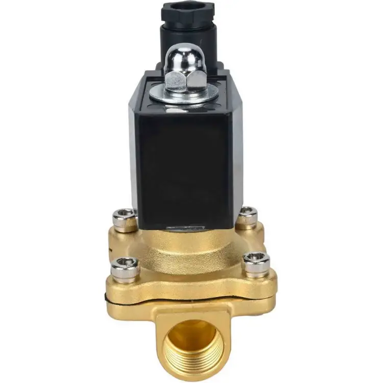 Электромагнитный клапан DN.ru VS2W-300E-NO D130-01769