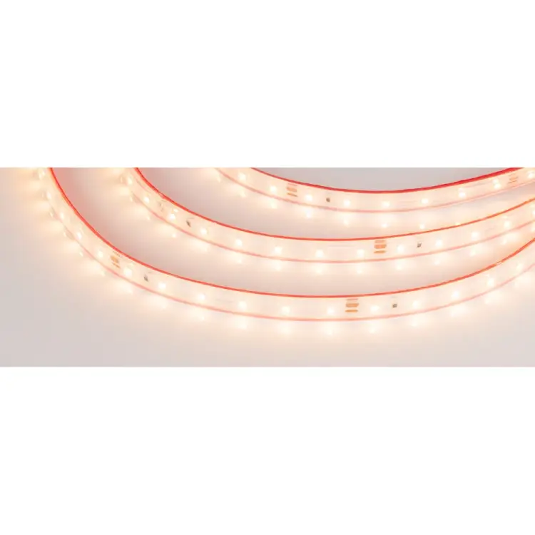 Светодиодная герметичная лента Arlight RTW-PS-A60-10мм 24V Warm2700 245662