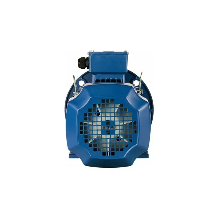 Электродвигатель 5АИ 100 S2Ж 4/3000 IM 2081 01.01.216694